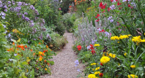 Taman dengan taman bunga berwarna-warni yang menghiasi seluruh area